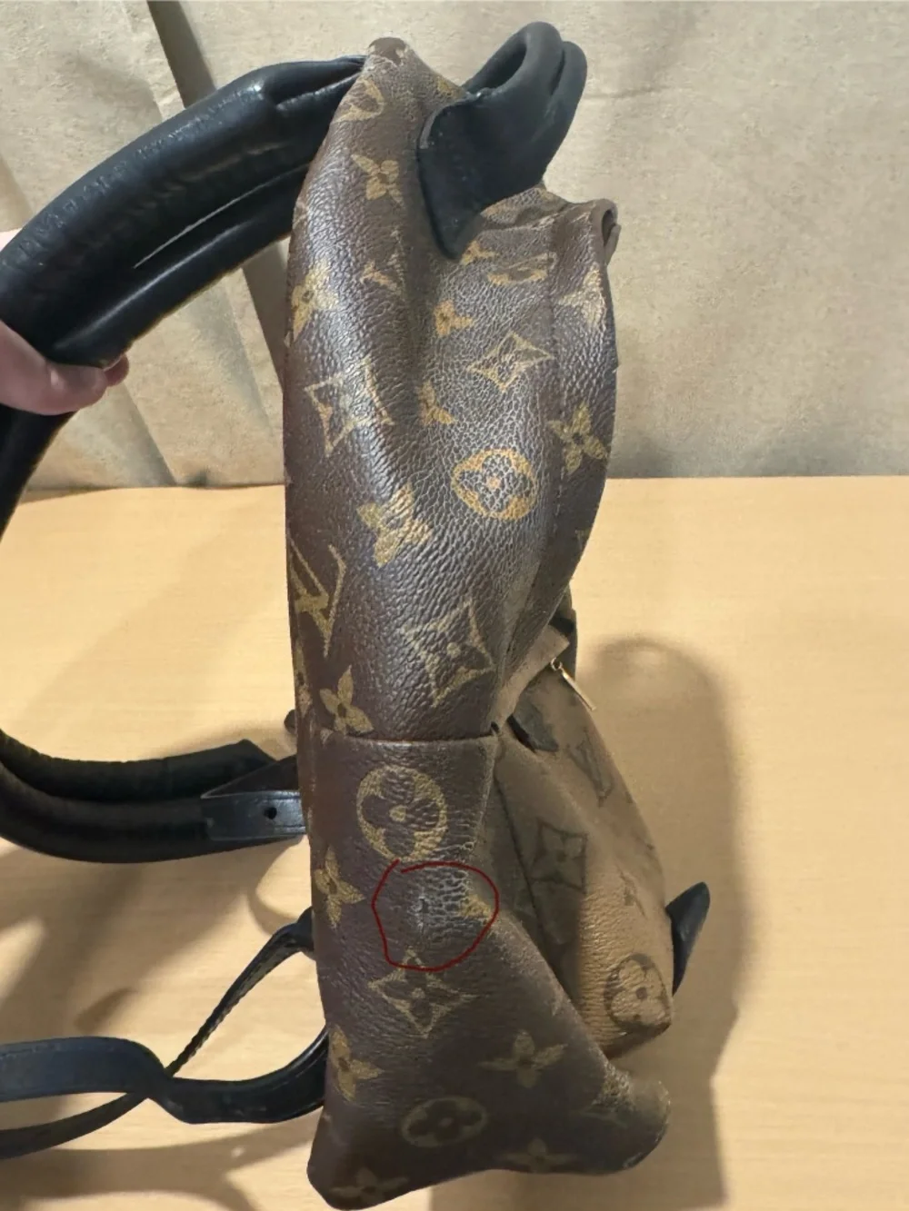 Louis Vuitton Palm Springs Backpack Reverse Monogram Canvas PM